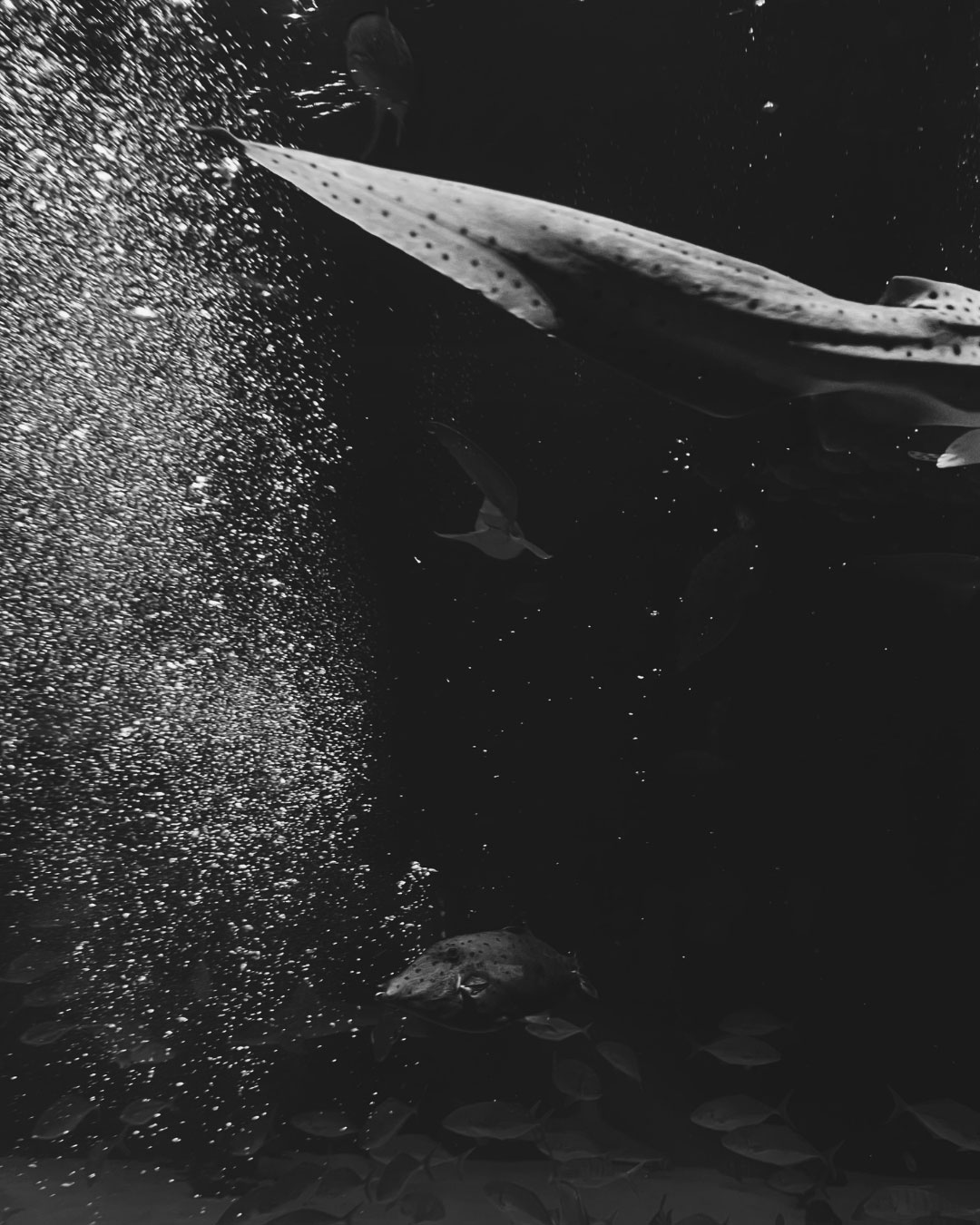 the nature of authentic brand design article