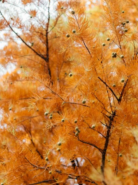 Portraits Pepa by Nikki Harris-22